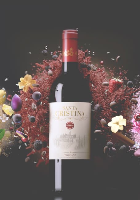 Mirror Agency case study: Santa Cristina